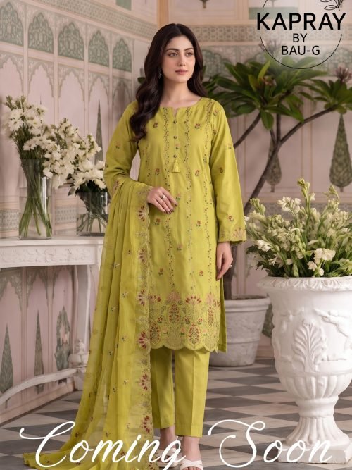 Mehndi Green Suit